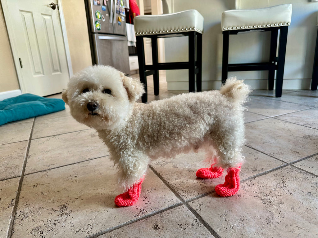 Crochet Pet Socks Pattern (Easy & Adjustable) for Dog or Cat