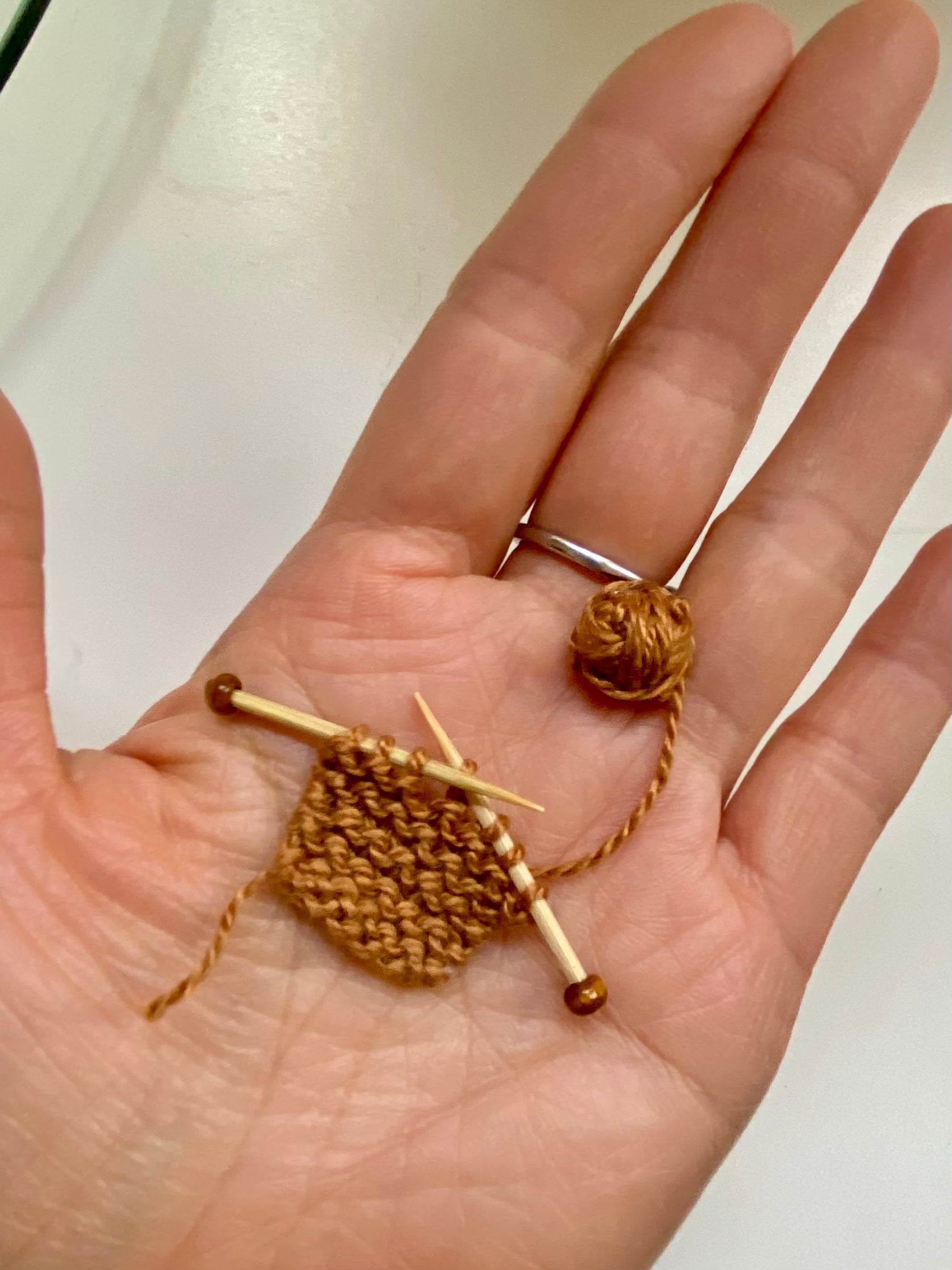 Knitting Project for Dollhouse