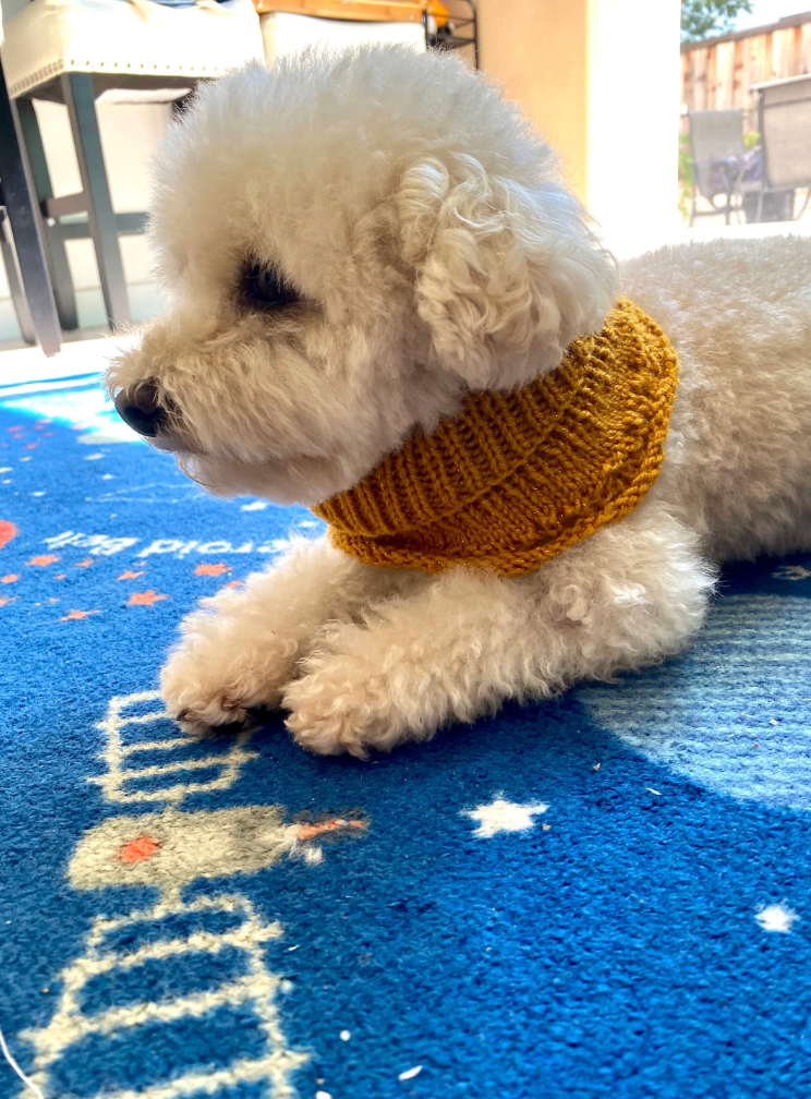 Four Paws Dog Neck Warmer Knitting Pattern