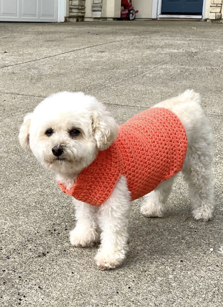 Crochet Dog Sweater Pattern: Snuggly Paws, Extra Small