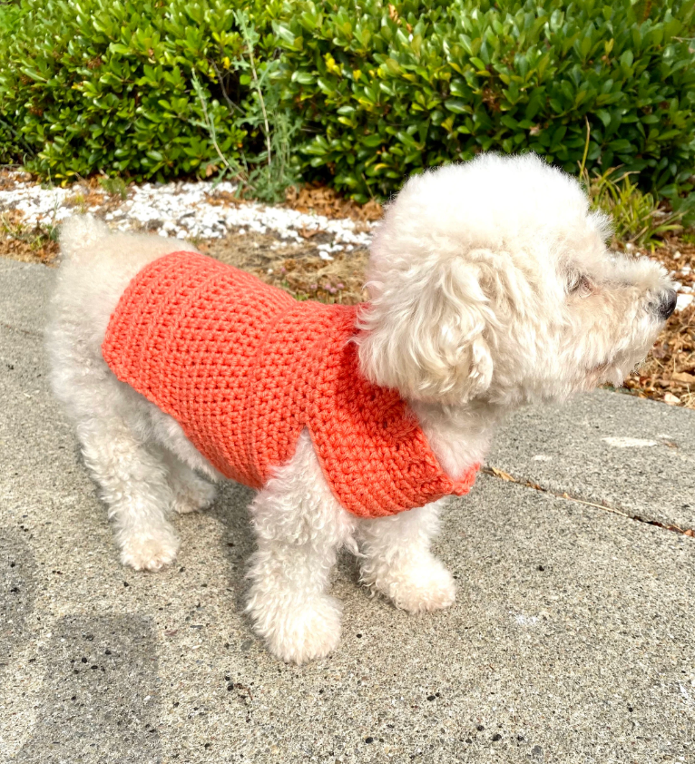 Crochet Dog Sweater Pattern: Snuggly Paws, Extra Small