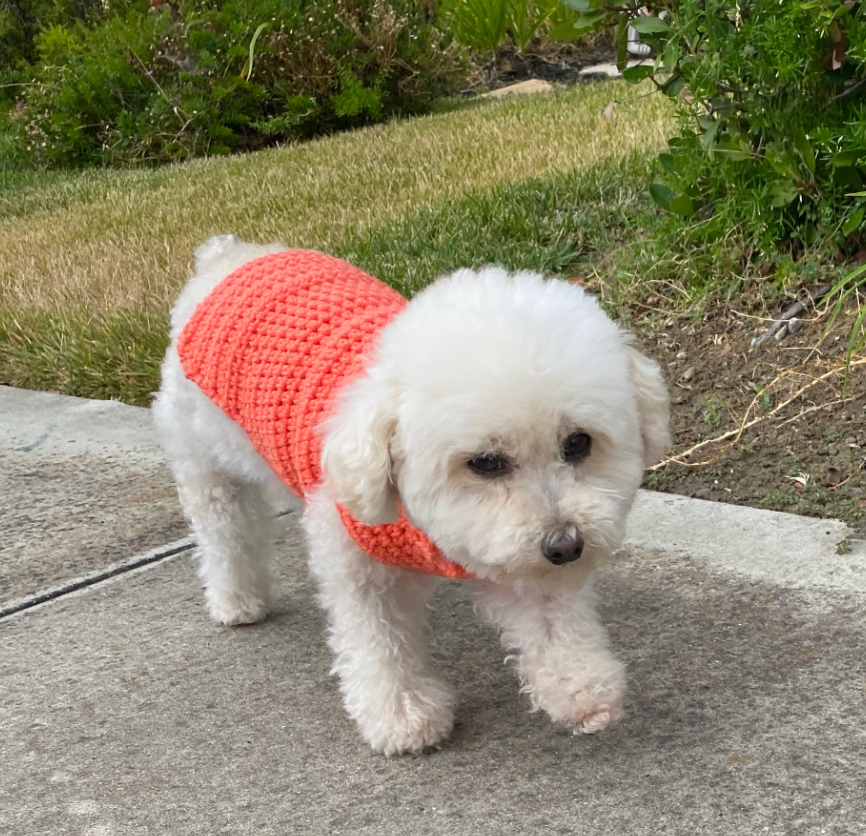 Crochet Dog Sweater Pattern: Snuggly Paws, Extra Small