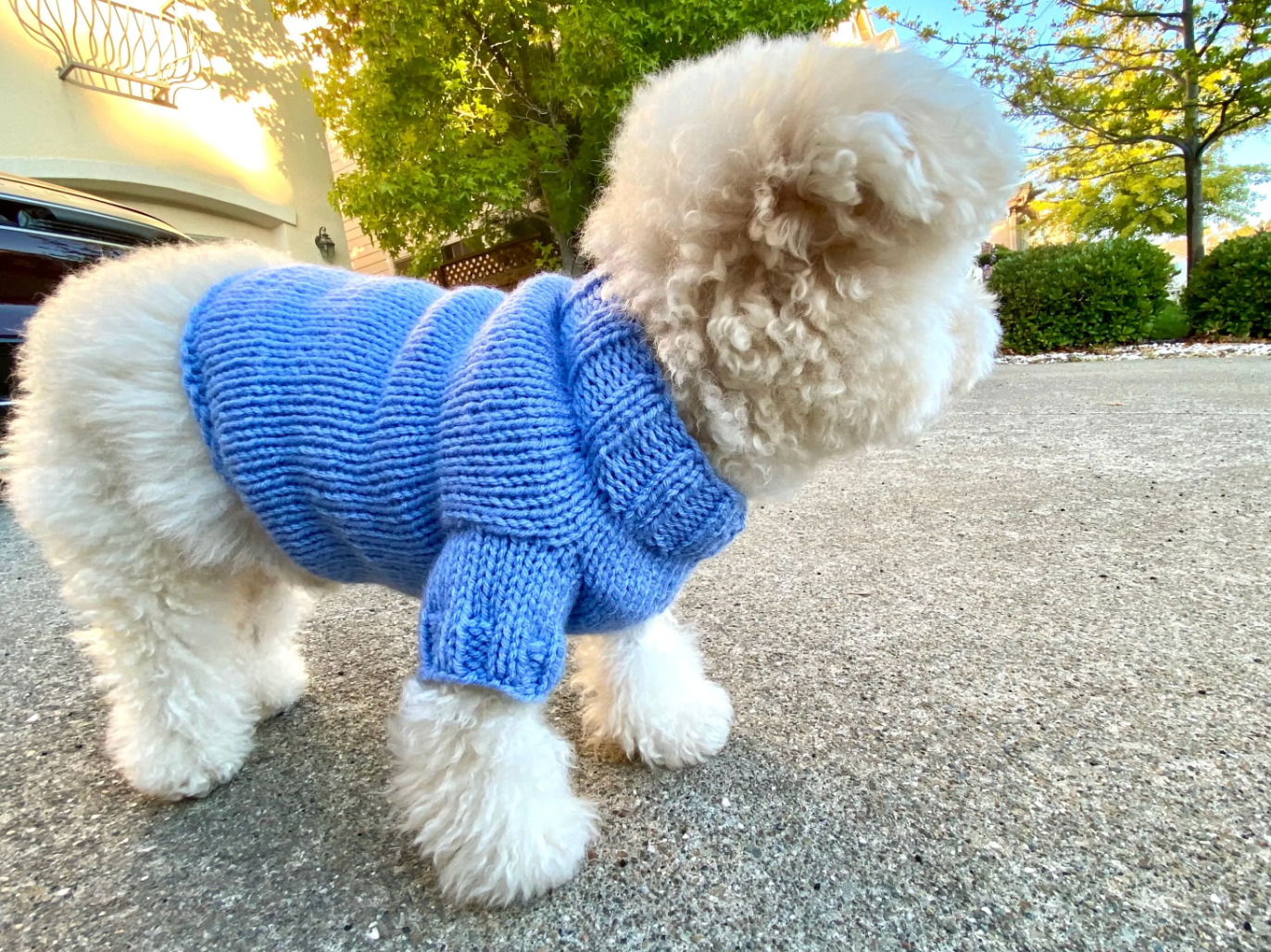 Small Dog Sweater Knitting Pattern