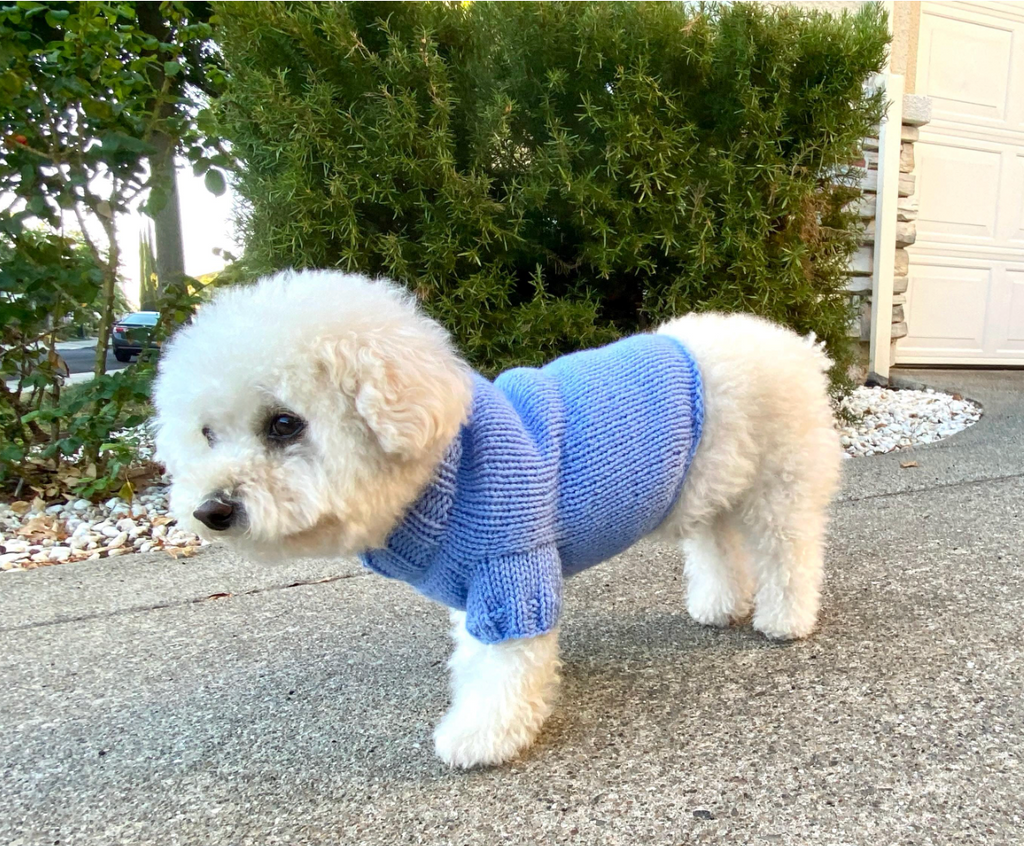 Small Dog Sweater Knitting Pattern