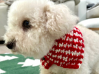 Houndstooth Crochet Pet Neck warmer Pattern