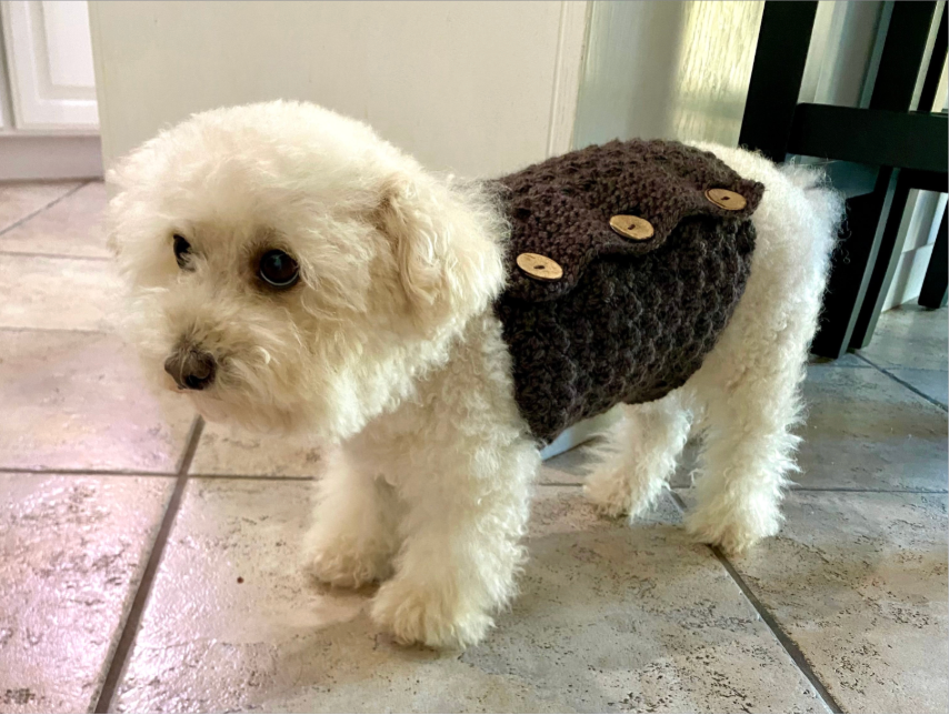Pet Belly Warmer Size XS to L Crochet Pattern