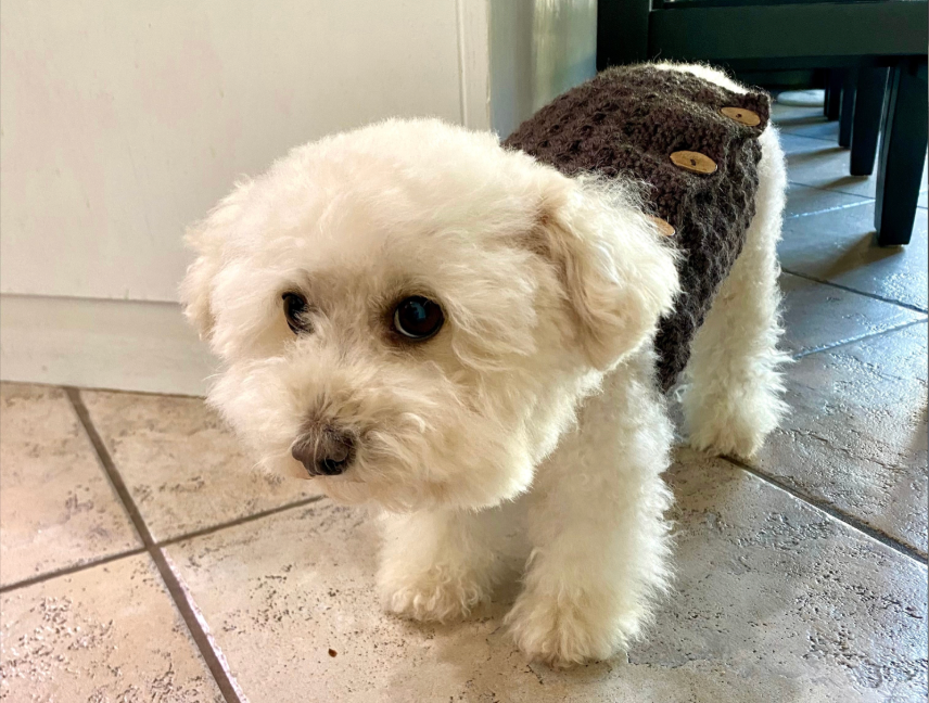 Pet Belly Warmer Size XS to L Crochet Pattern