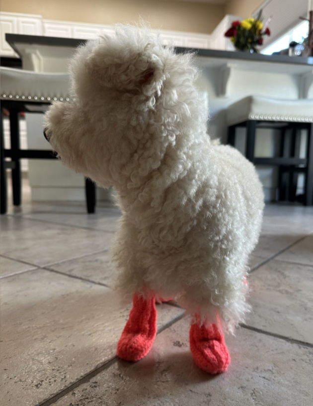 Crochet Pet Socks Pattern (Easy & Adjustable) for Dog or Cat