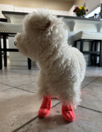 Crochet Pet Socks Pattern (Easy & Adjustable) for Dog or Cat